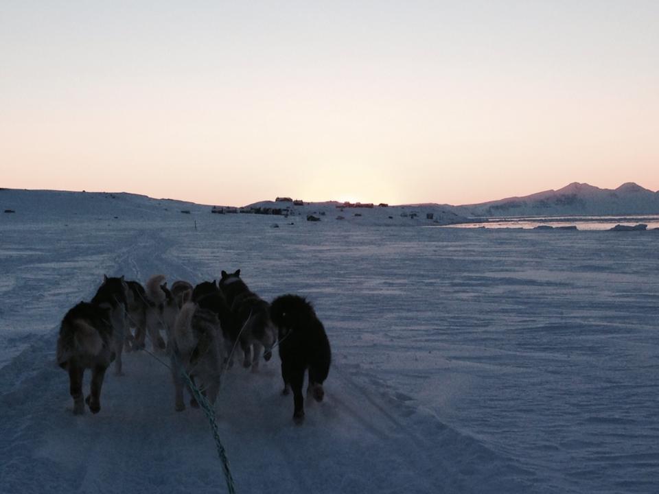 12274531_10206145999503753_1559477328449010250_n