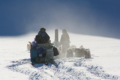 Dogsledge in Jamesonland , image by Nanu Travel