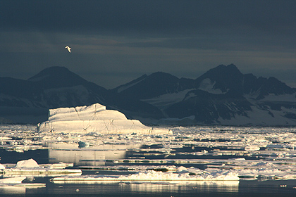 Night view in summer , image by Nanu Travel