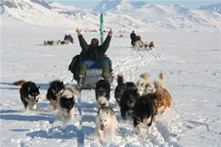 Inuutas sled in front