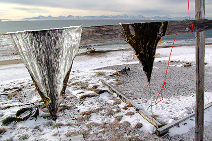  image by Peter Von Sassen