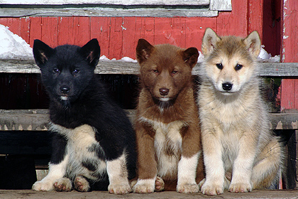  image by Peter Von Sassen