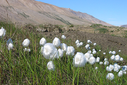 Hiking in Jamesonland , image by Gary Rolfe