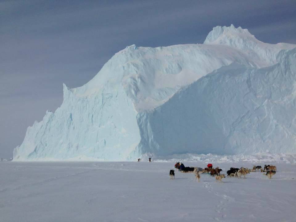 Slædetur near Ittoqqortoormiit