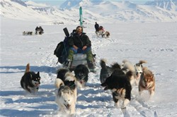 Sledging in Eastgreenland