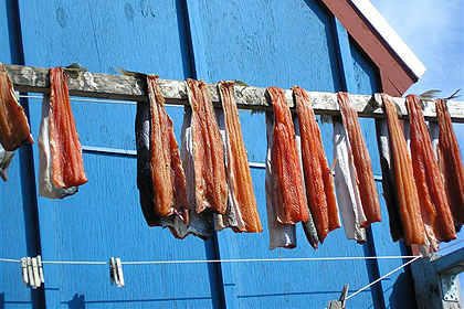 Arctic char , image by Nanu Travel