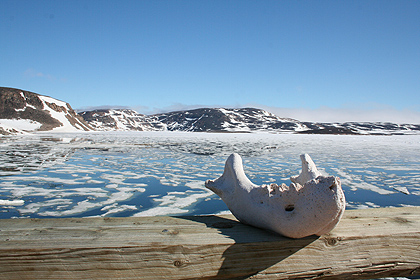 View to Amdrup Havn , image by Nanu Travel